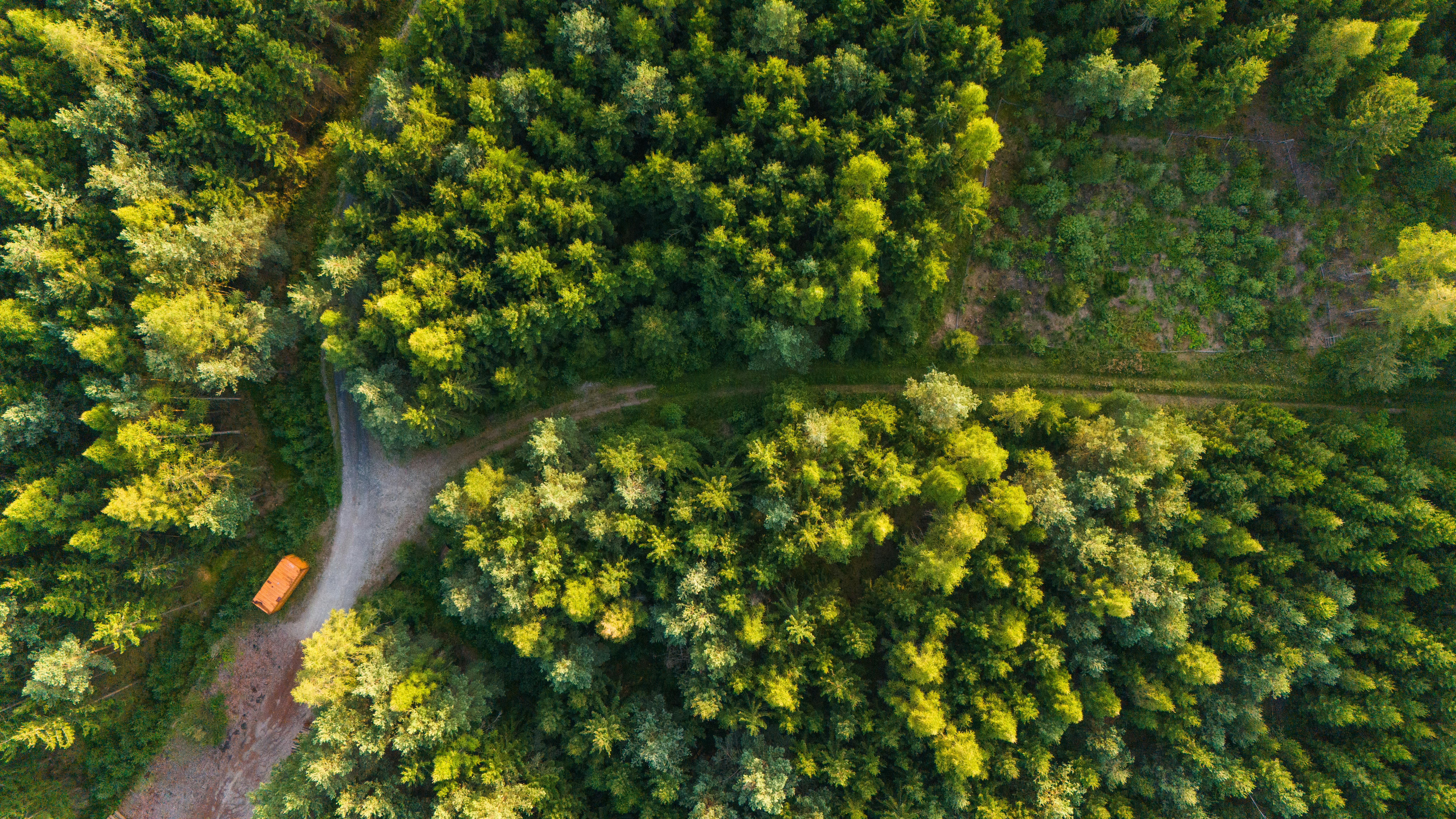 evs explained sustainability — Photo by Stepan Vrany on Pexels