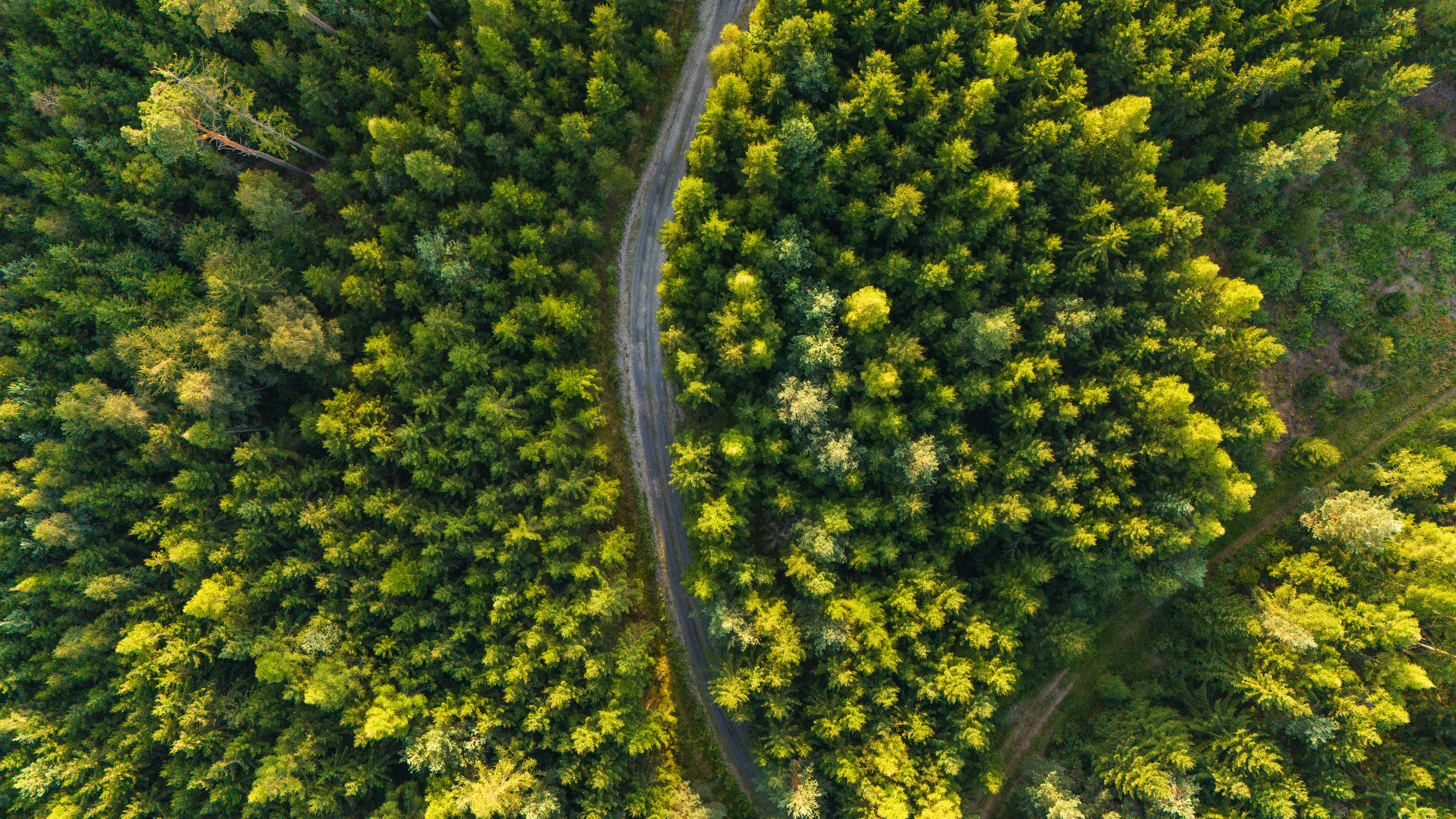 Corporate Governance: The “G” in ESG — Photo by Stepan Vrany on Pexels