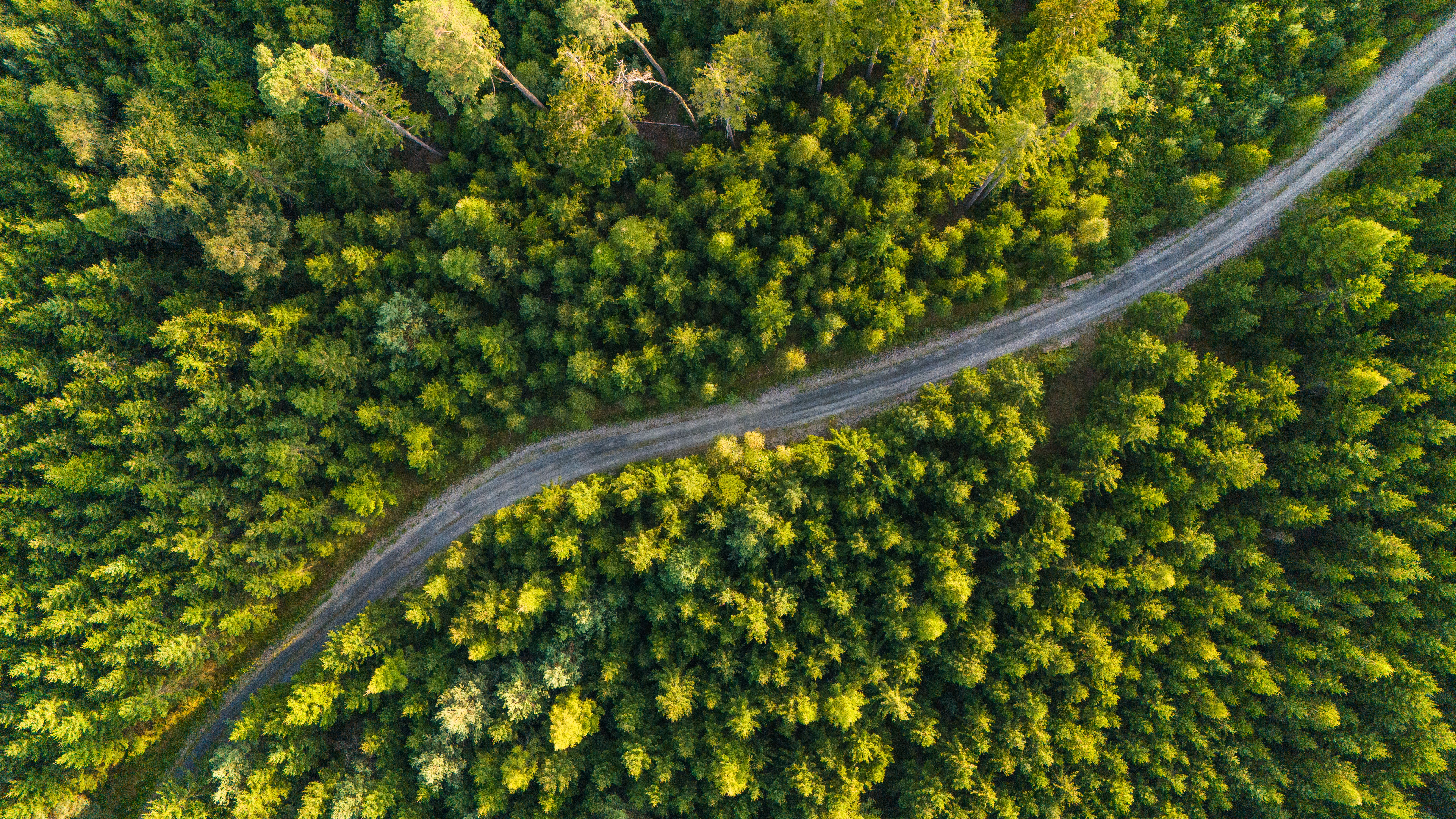 Corporate Governance: The “G” in ESG — Photo by Stepan Vrany on Pexels