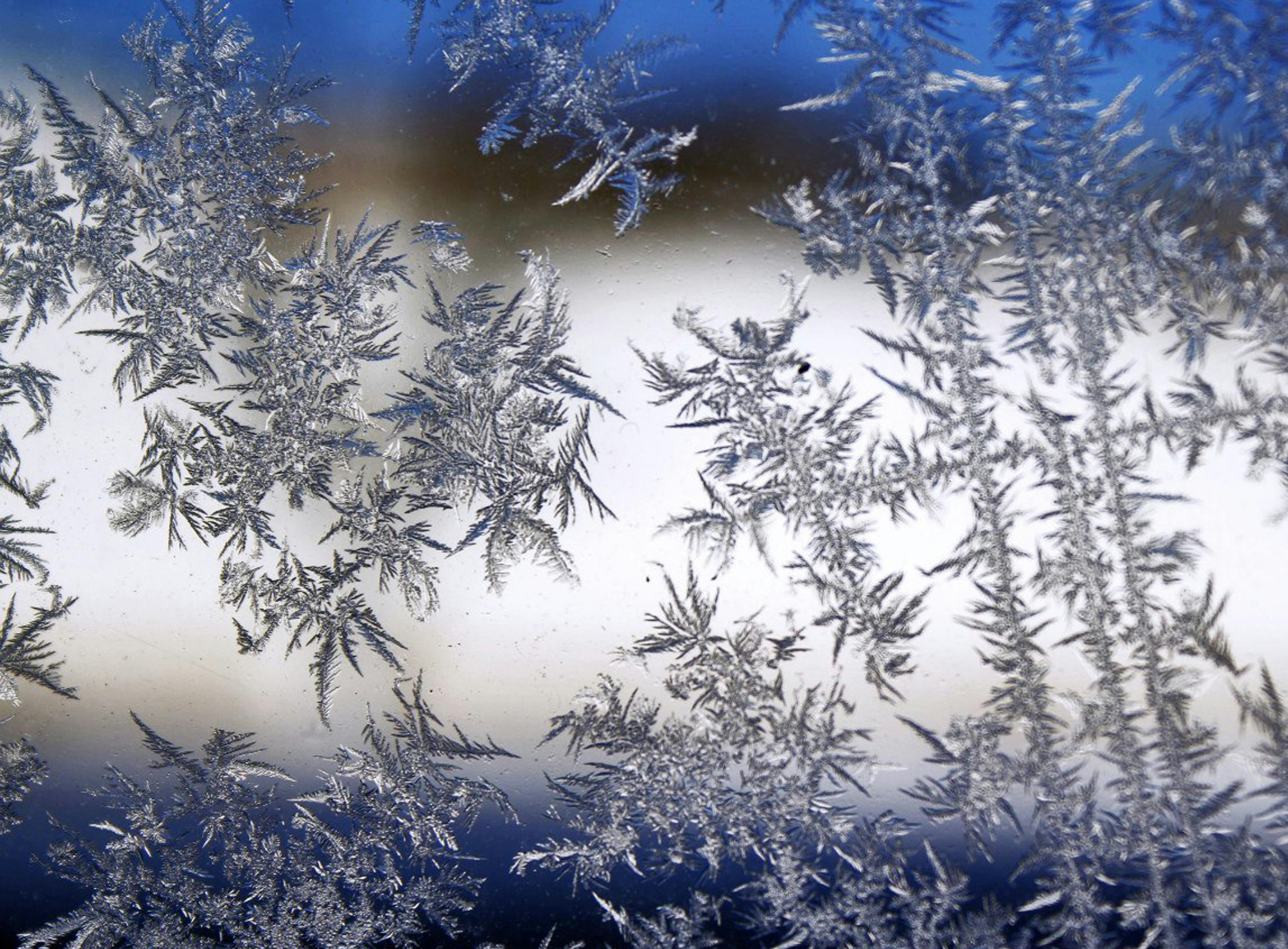 Macro Photography Of Snowflakes · Free Stock Photo