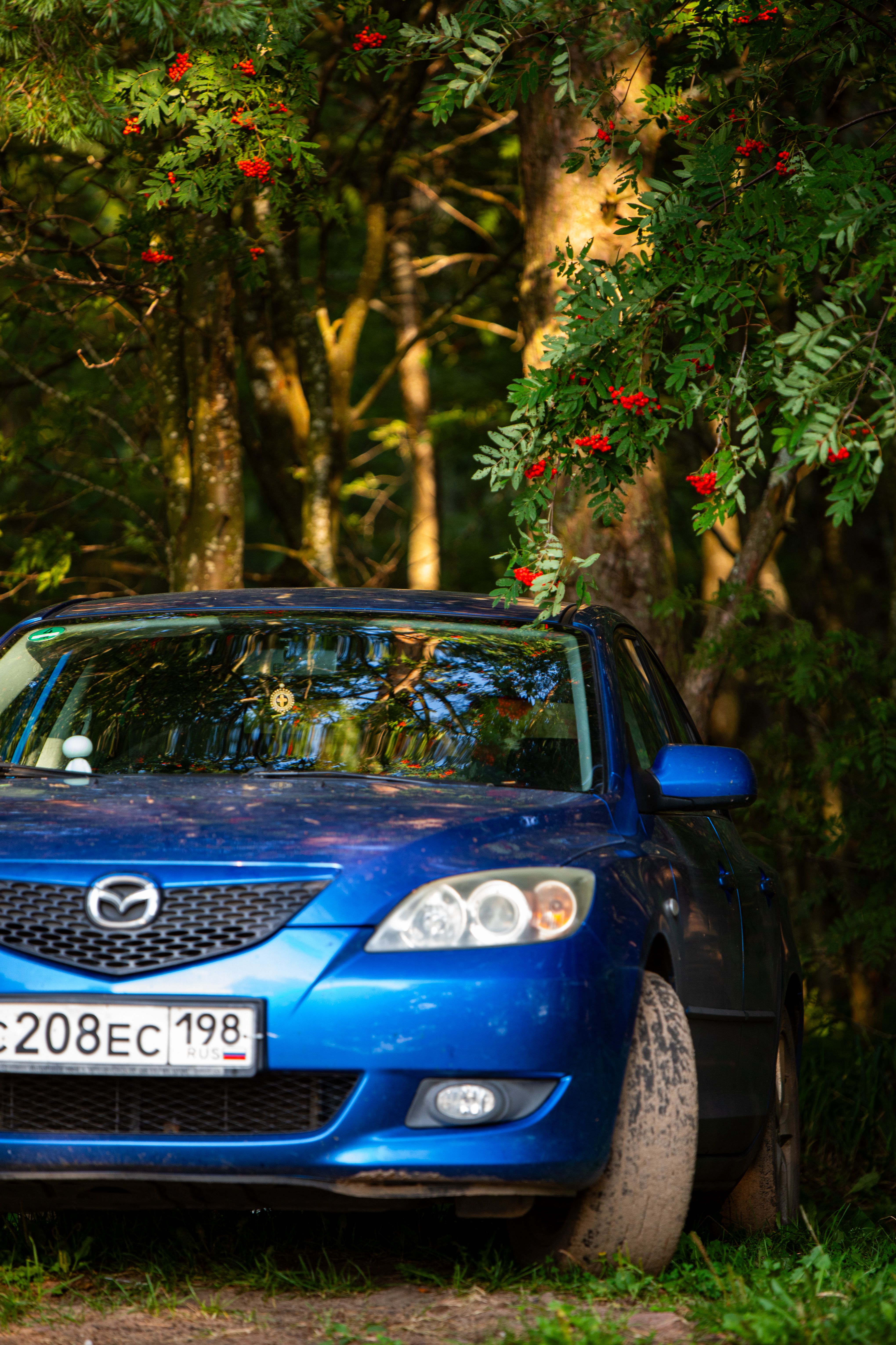 A blue car parked in the woods near some trees · Free Stock Photo