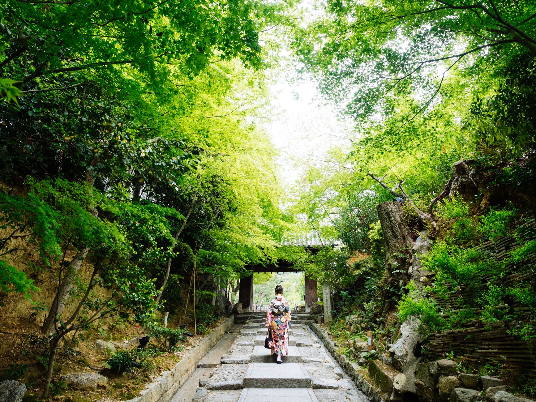 関西で日帰り女子旅をするなら知っておきたい基本情報
