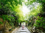 在日本京都郁郁葱葱的花园里，一名身穿彩色和服的女子走在石路上