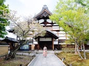 在日本京都一座历史悠久的寺庙里，一名穿着和服的妇女正在盛开的樱花树下漫步