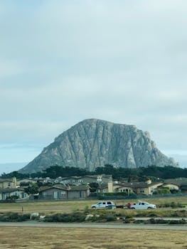 Tartaruga d'acqua che interagisce