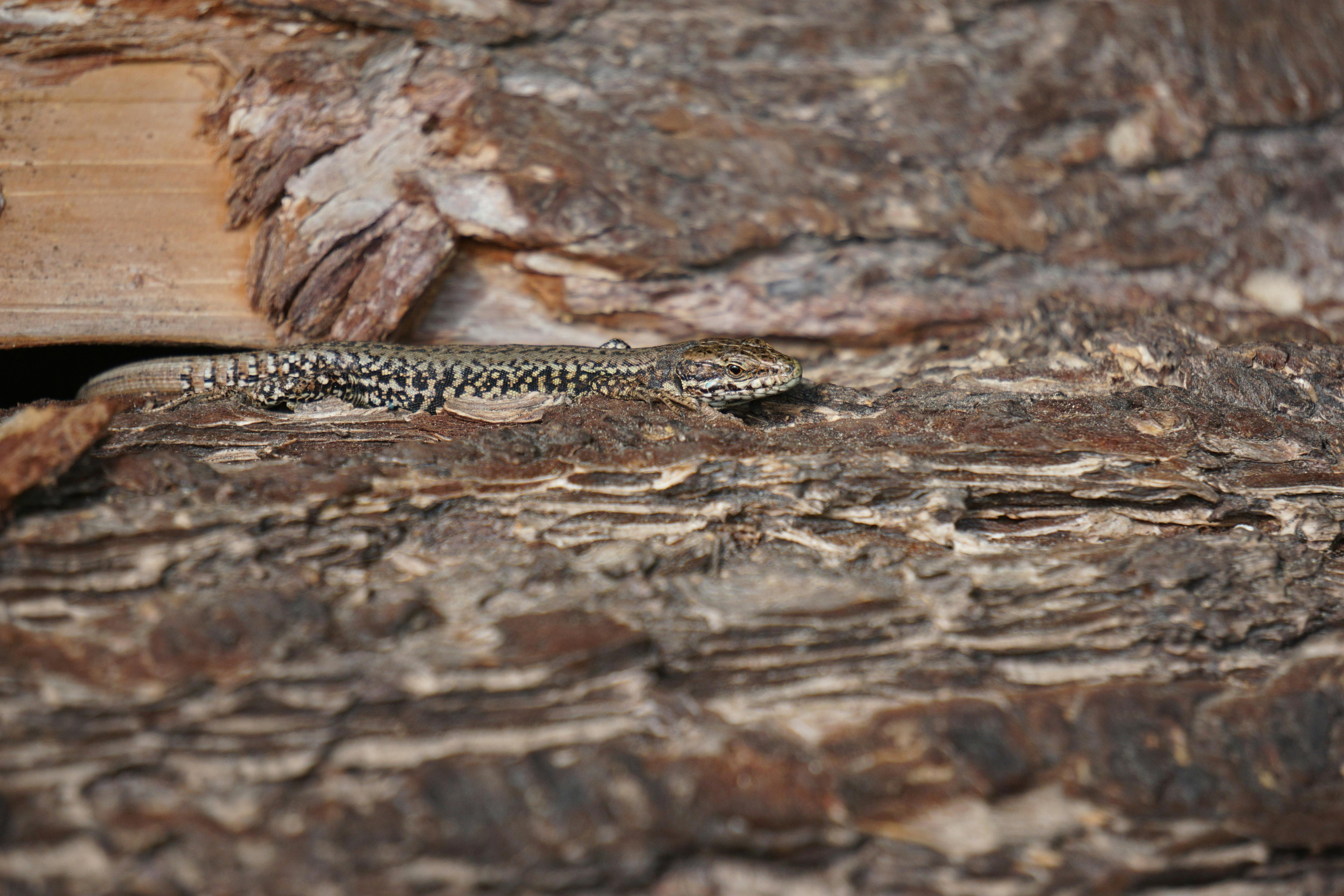 Hidden Skills to Transform Your Life