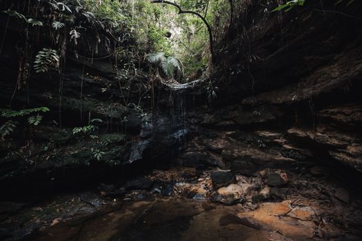 Gomantong caves bird's nest tour — Borneo