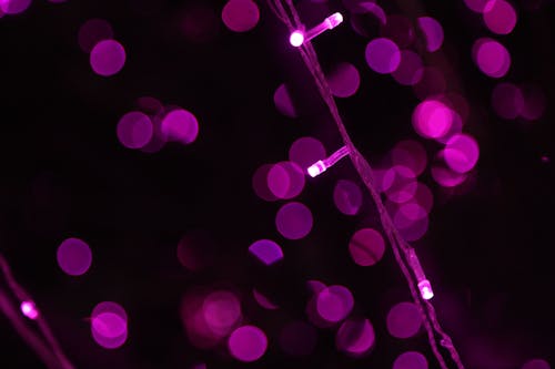 Purple String Lights Wallpaper