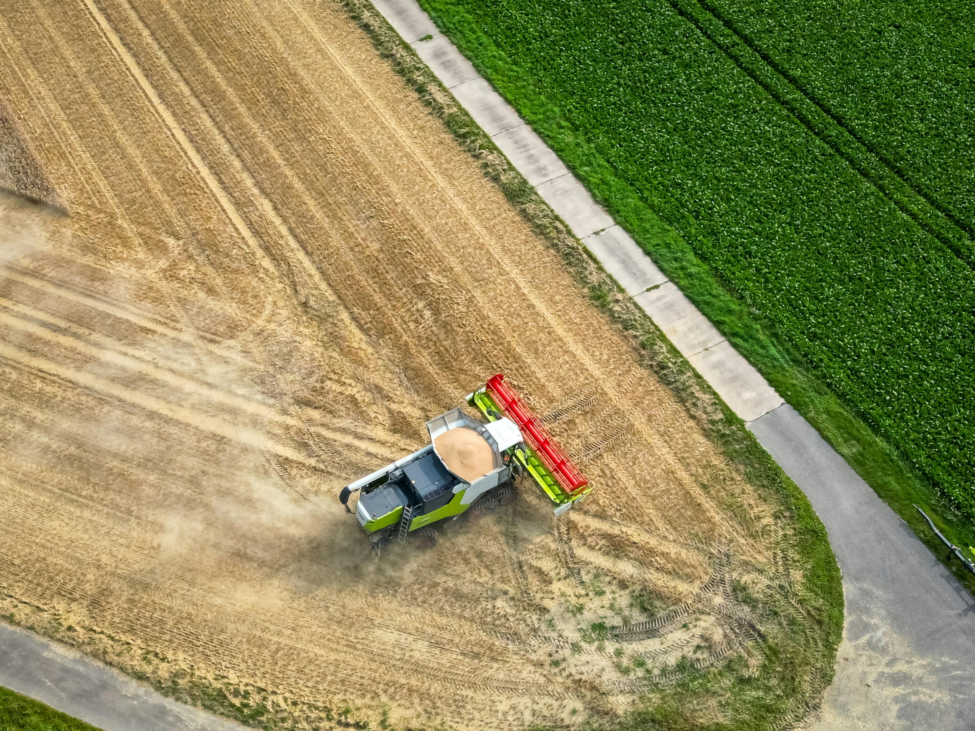specialty diets specialty diesel services — Photo by Leon Aschemann on Pexels