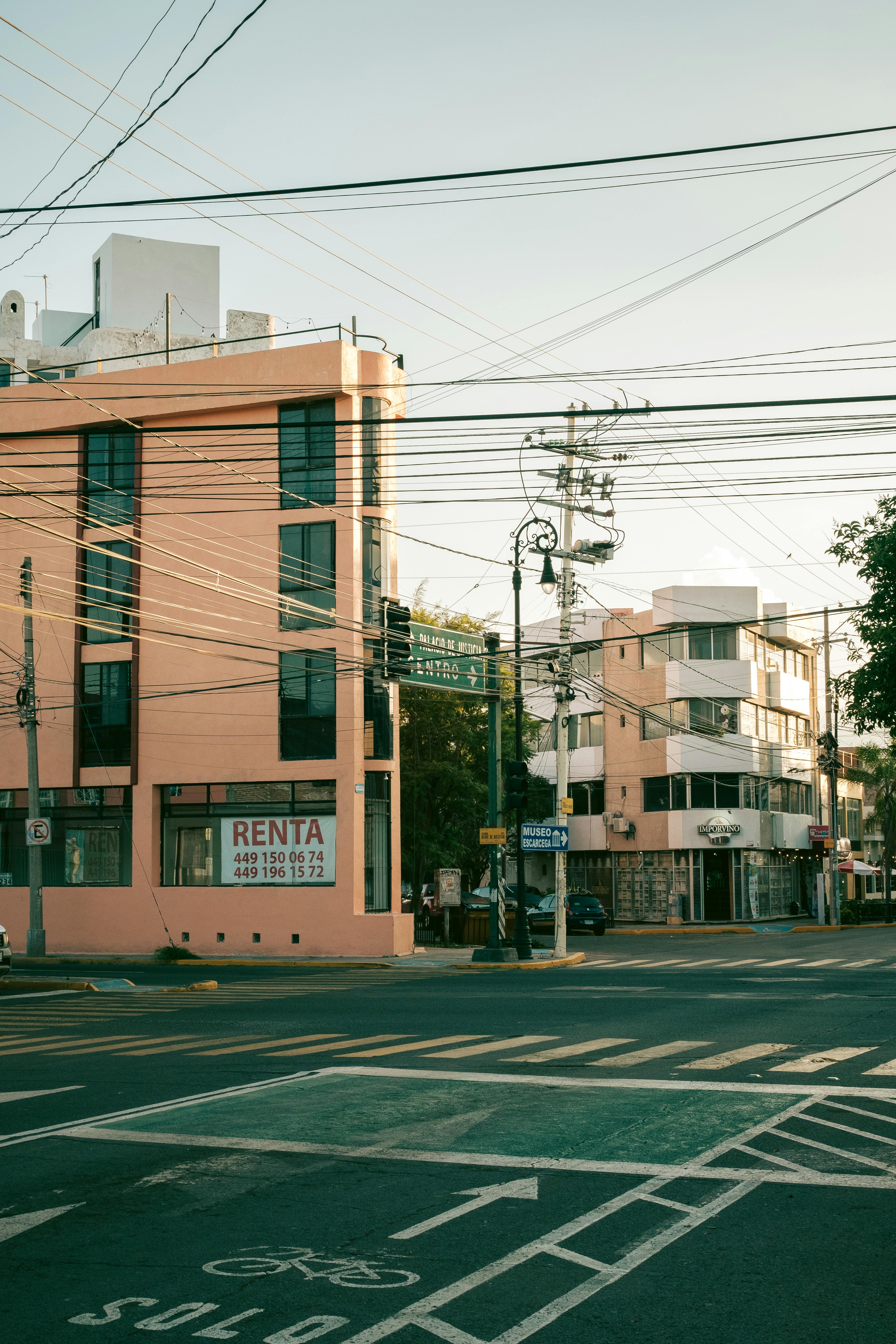 Czym jest renta wdowia i kto ma do niej prawo - Ilustracja do artykułu
