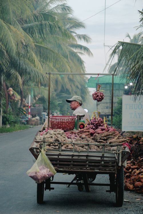 Free Street vendor selling produce on a cart amidst tropical setting in Tien Giang, Vietnam. Stock Photo