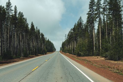 Free Straight open road lined with conifer trees against a backdrop of a cloudy sky, perfect for travel and nature themes. Stock Photo