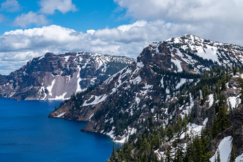 Aerial View of Trees and Mountain Near Ocean