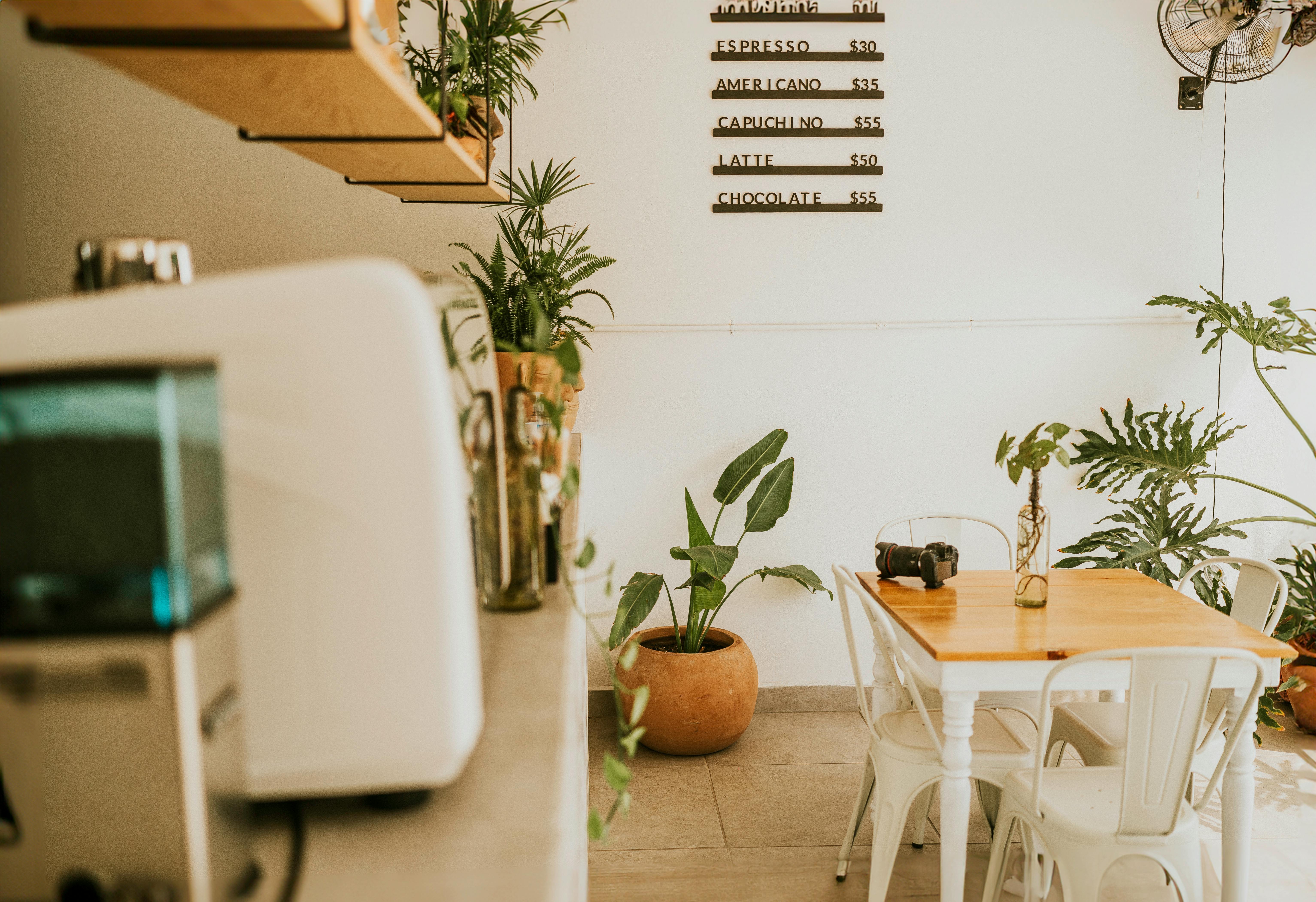 Small fleets priced out as insurance premiums soar — Photo by Amar  Preciado on Pexels