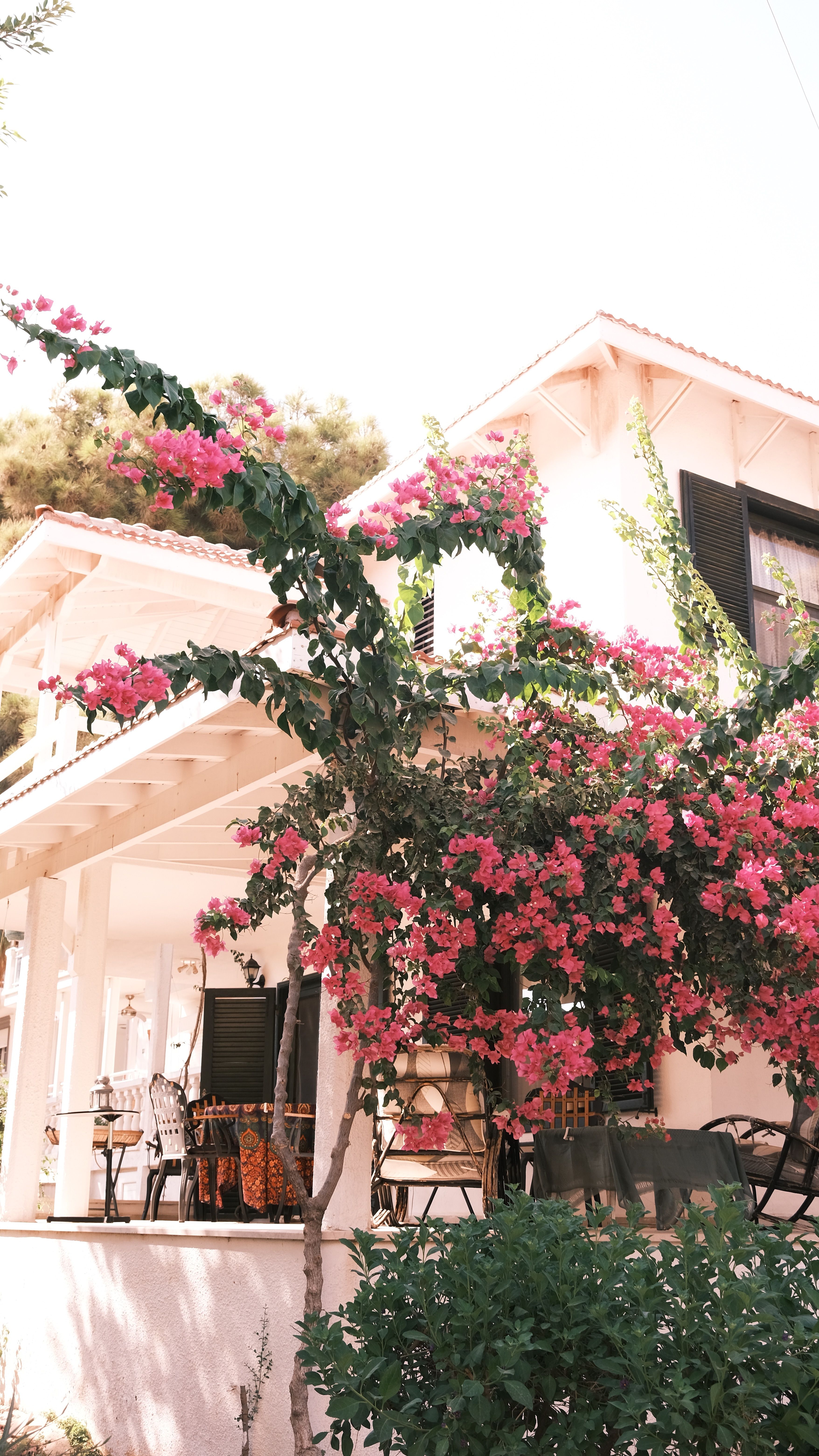 A picturesque villa adorned with vibrant bougainvillea on a sunny day.