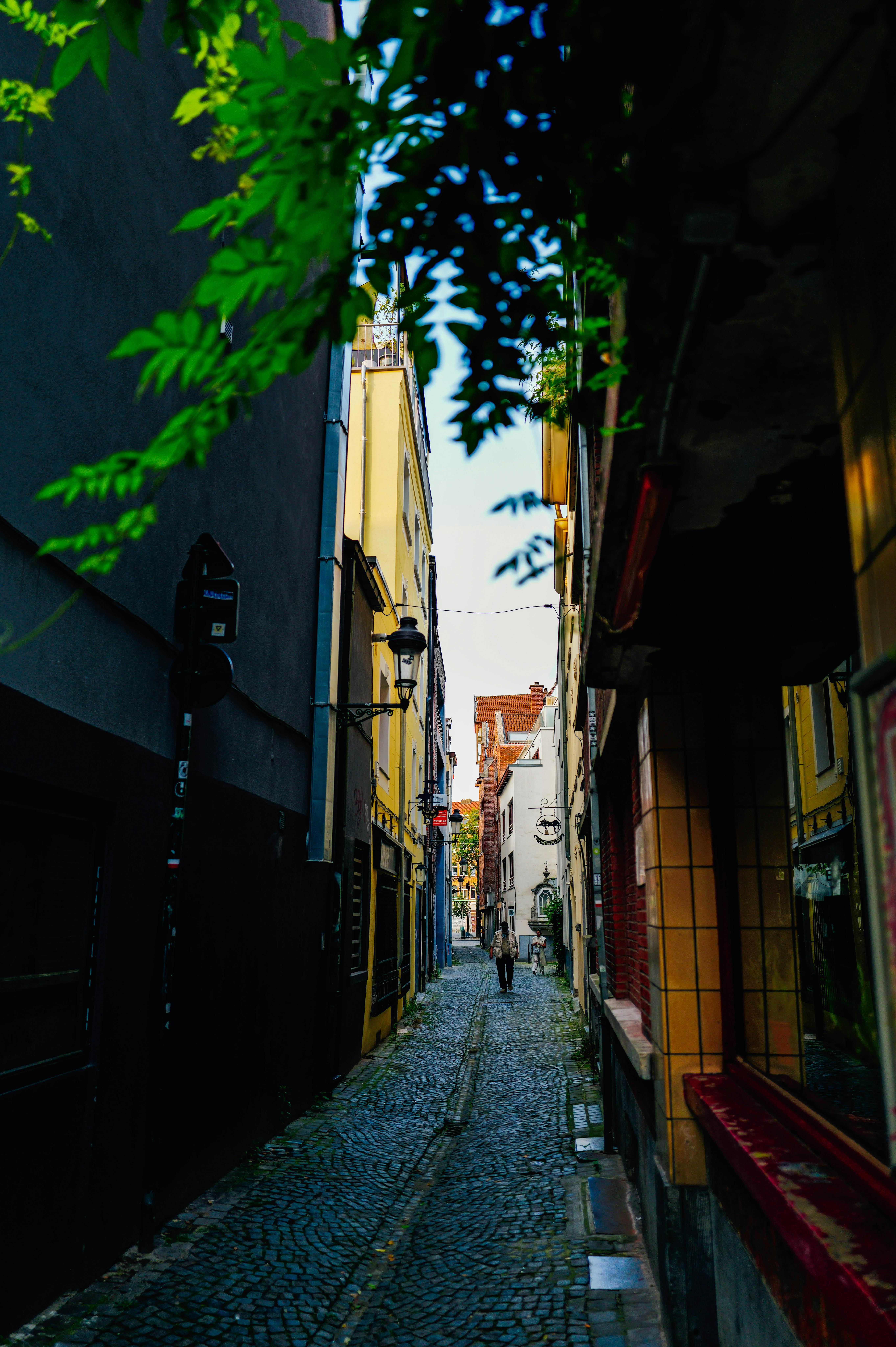 Family-Friendly Adventures in Bristol: 5 Hidden Gems in Local Postal Districts You Can't Miss