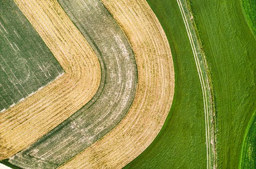 Aerial View Of Grass Field