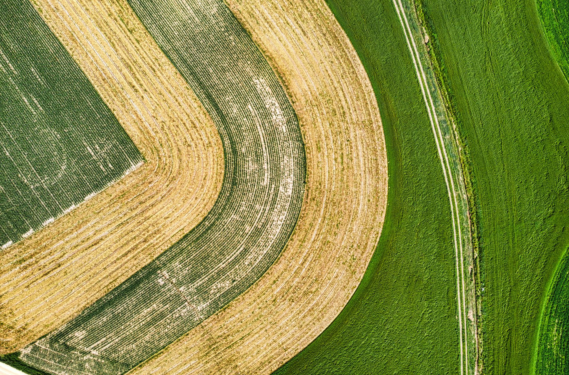 Aerial view of green and yellow farmland creating geometric patterns in Zumbro Falls, MN.