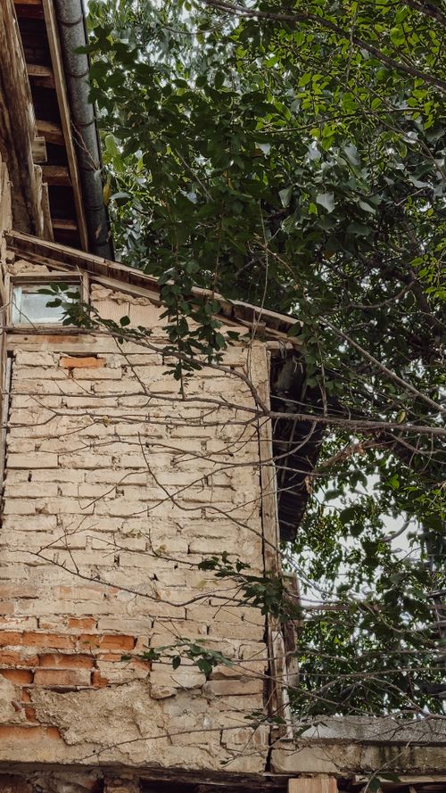 Free An old abandoned house made of stone and wood, surrounded by lush green trees, embodying rustic charm and history. Stock Photo