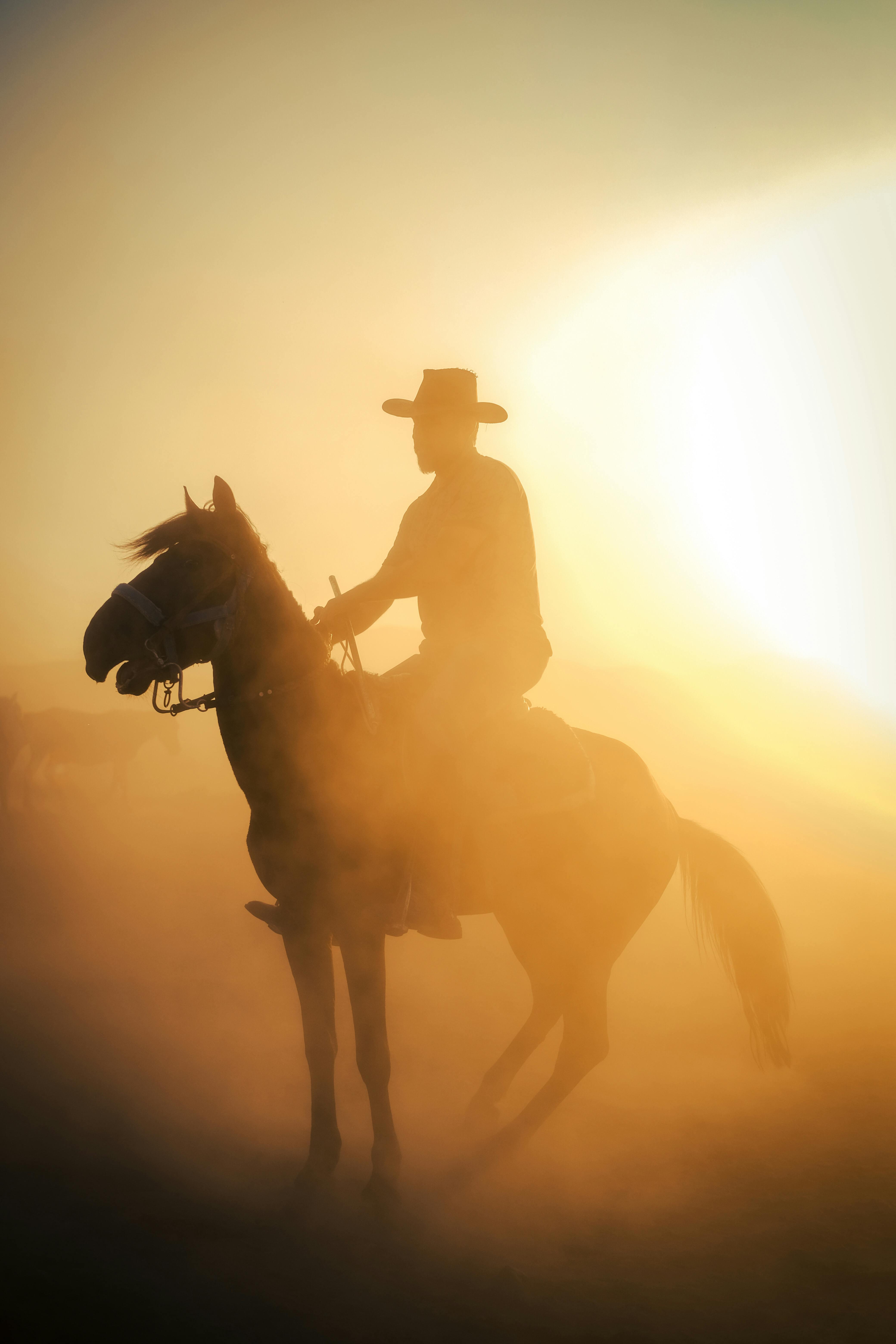 a cowboy rides a horse in the mist