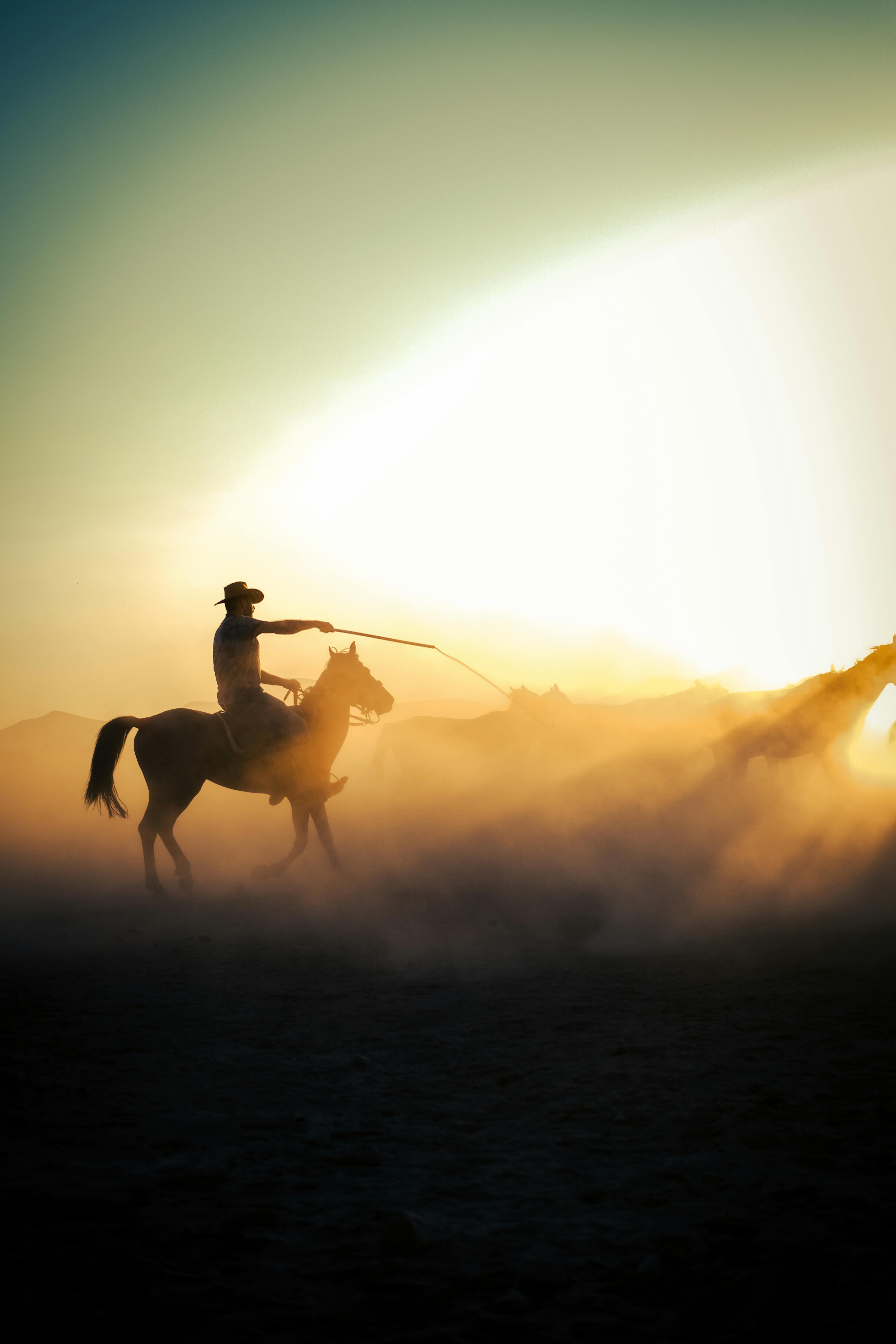 a cowboy riding a horse in the desert at sunset