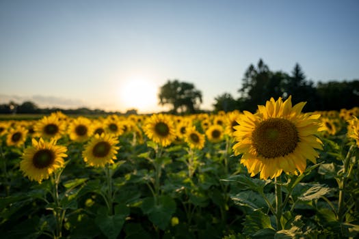 Nelson, New Zealand photo 14