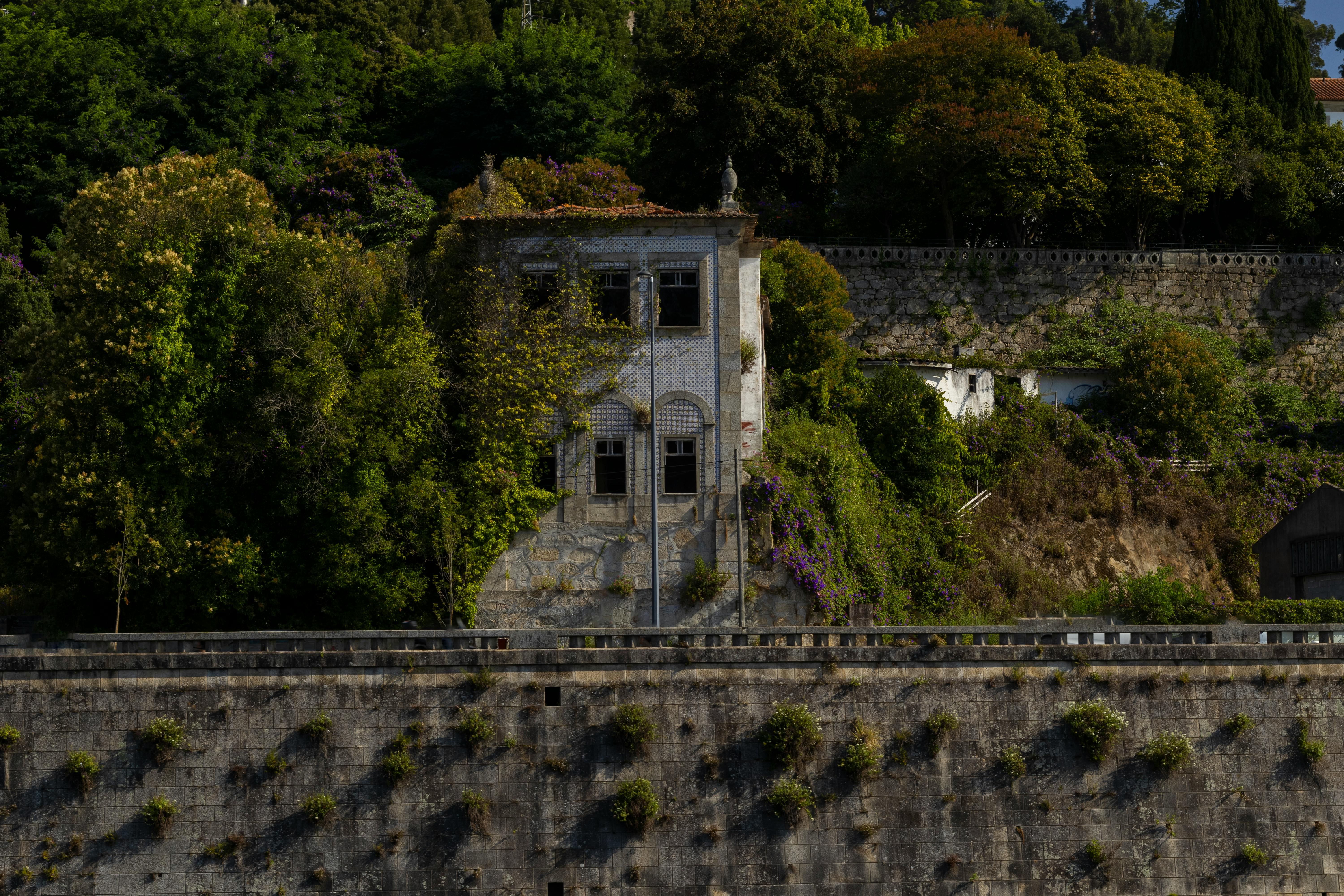 An old abandoned house covered in green foliage on a hillside, evoking mystery and history.