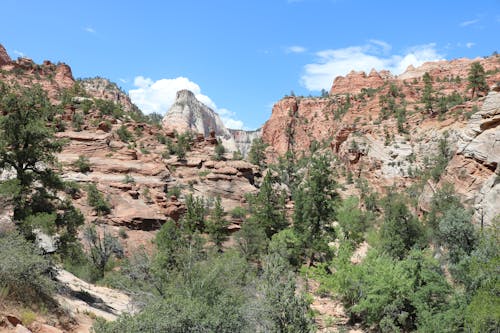 Free stock photo of blue sky, national park, red rock