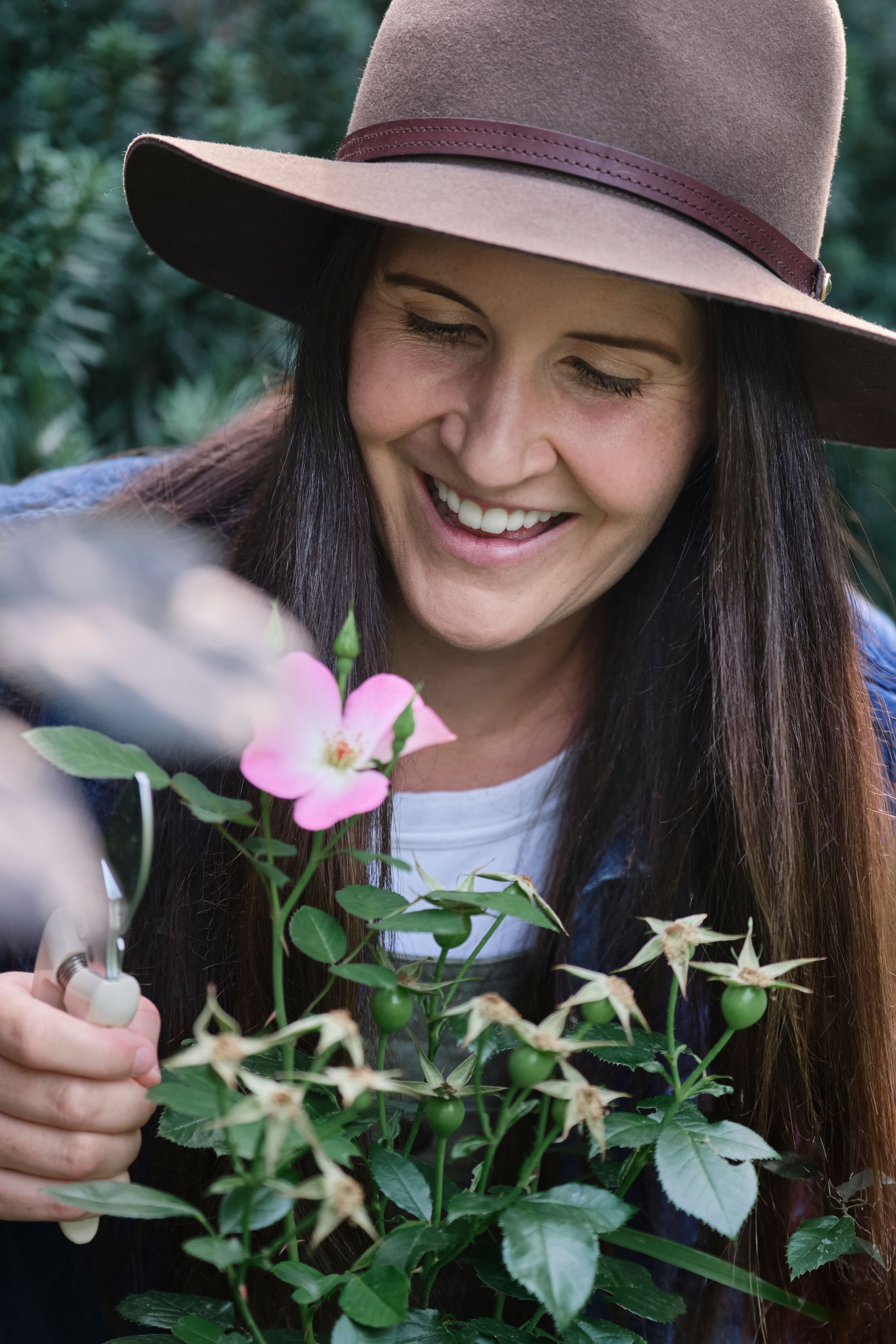 Mastering the Self-Seeding Cycle: Strategic Deadheading, Soil Preparation, and Targeted Thinning for a Perpetually Blooming, Low-Maintenance Flower Garden