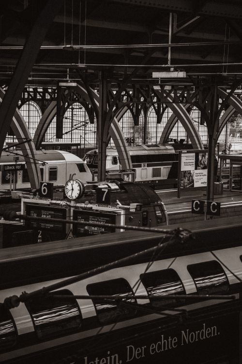 Free Lübeck train station featuring trains and detailed architecture in black and white. Stock Photo