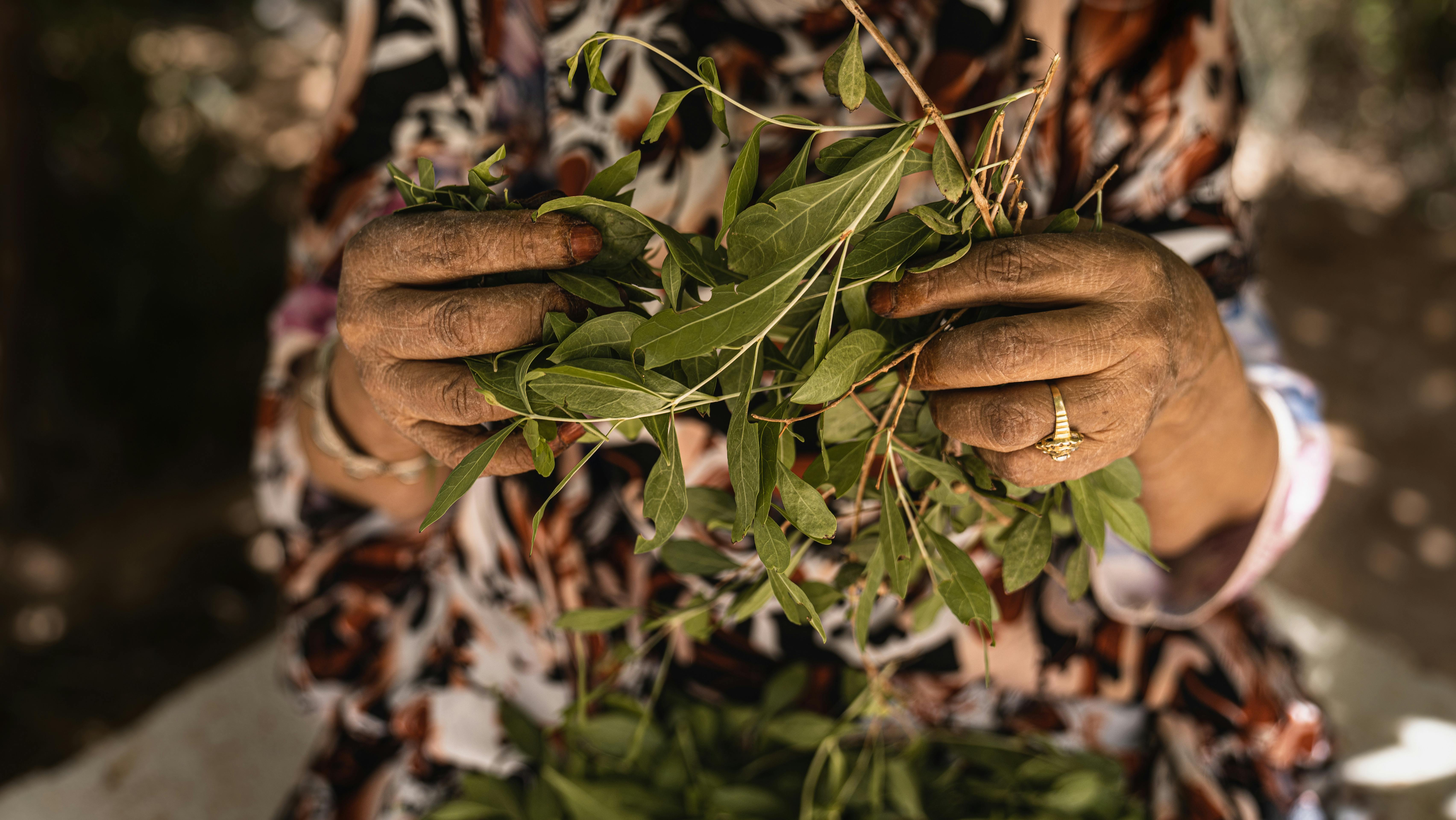 Guilt-Free Indulgences