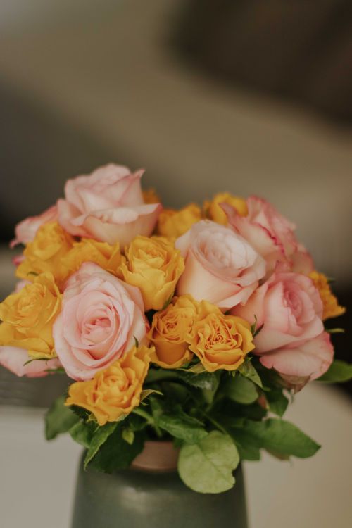 Free Charming bouquet of pink and yellow roses in a vase, perfect for weddings and romantic settings. Stock Photo