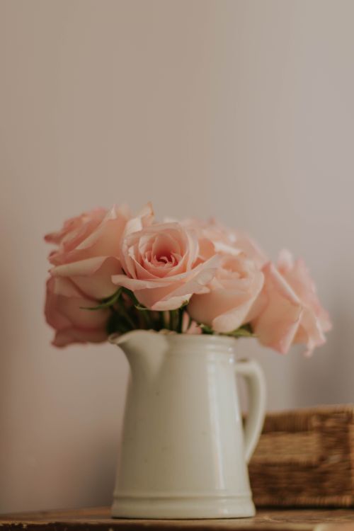 Free A delicate pastel rose arrangement in a white ceramic vase, evoking a sense of romance and simplicity. Stock Photo