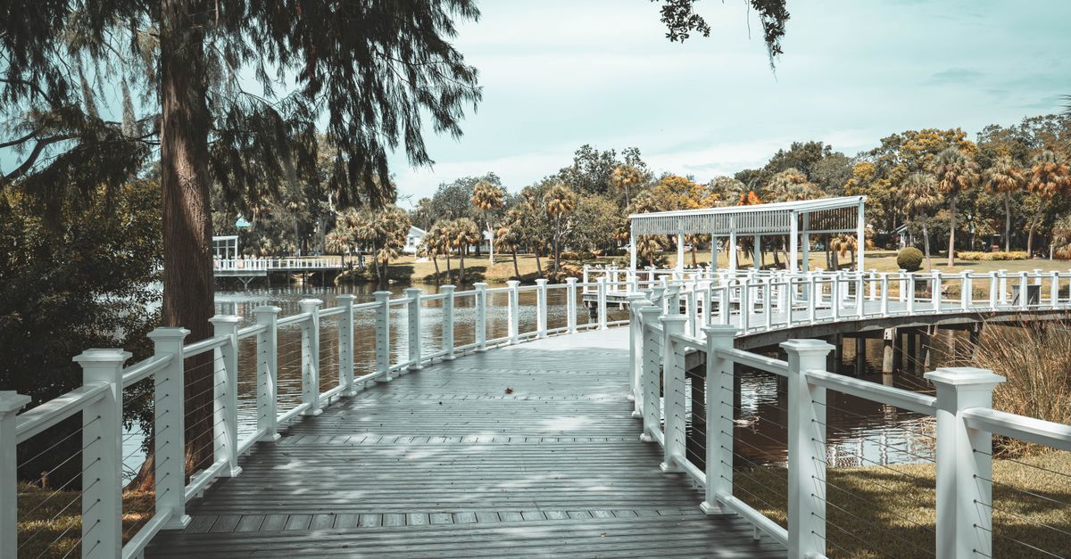 A serene park scene featuring a wooden boardwalk surrounded by lush greenery in New Port Richey, Florida.