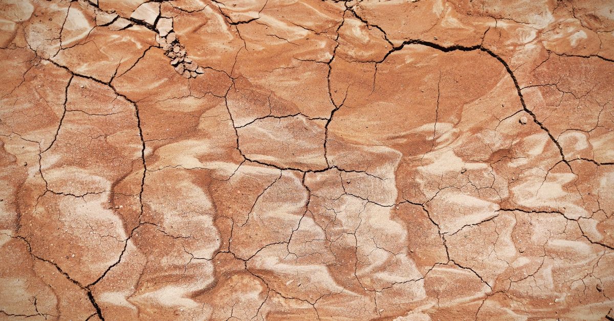 Photo by Rashed Paykary Close-up of cracked earth in arid terrain, highlighting drought effects.