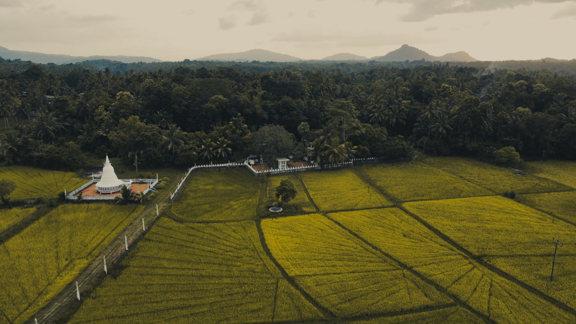 Where to Stay in Tissamaharama: Complete Area Guide
