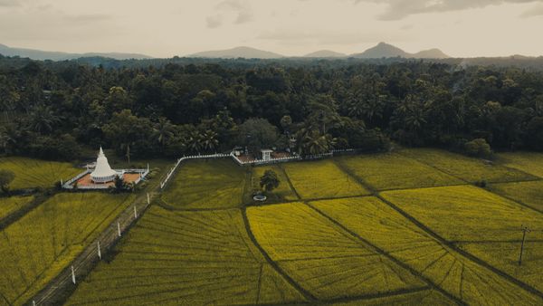 Ultimate Travel Guide to Tissamaharama, Sri Lanka (2026)