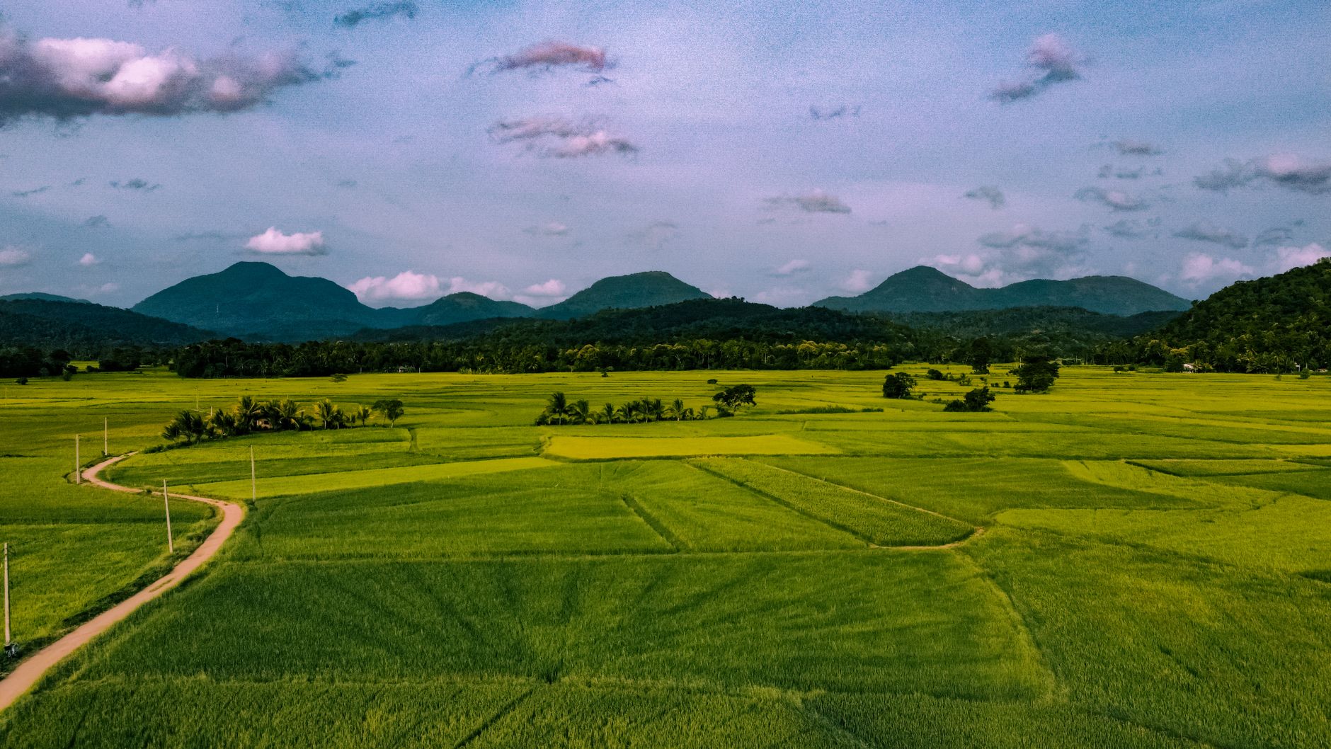 Golumale Sri Lanka: Route, Difficulty & What to Expect