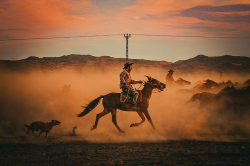 Free Silhouetted cowboy on horseback racing through dusty desert landscape at sunset. Stock Photo