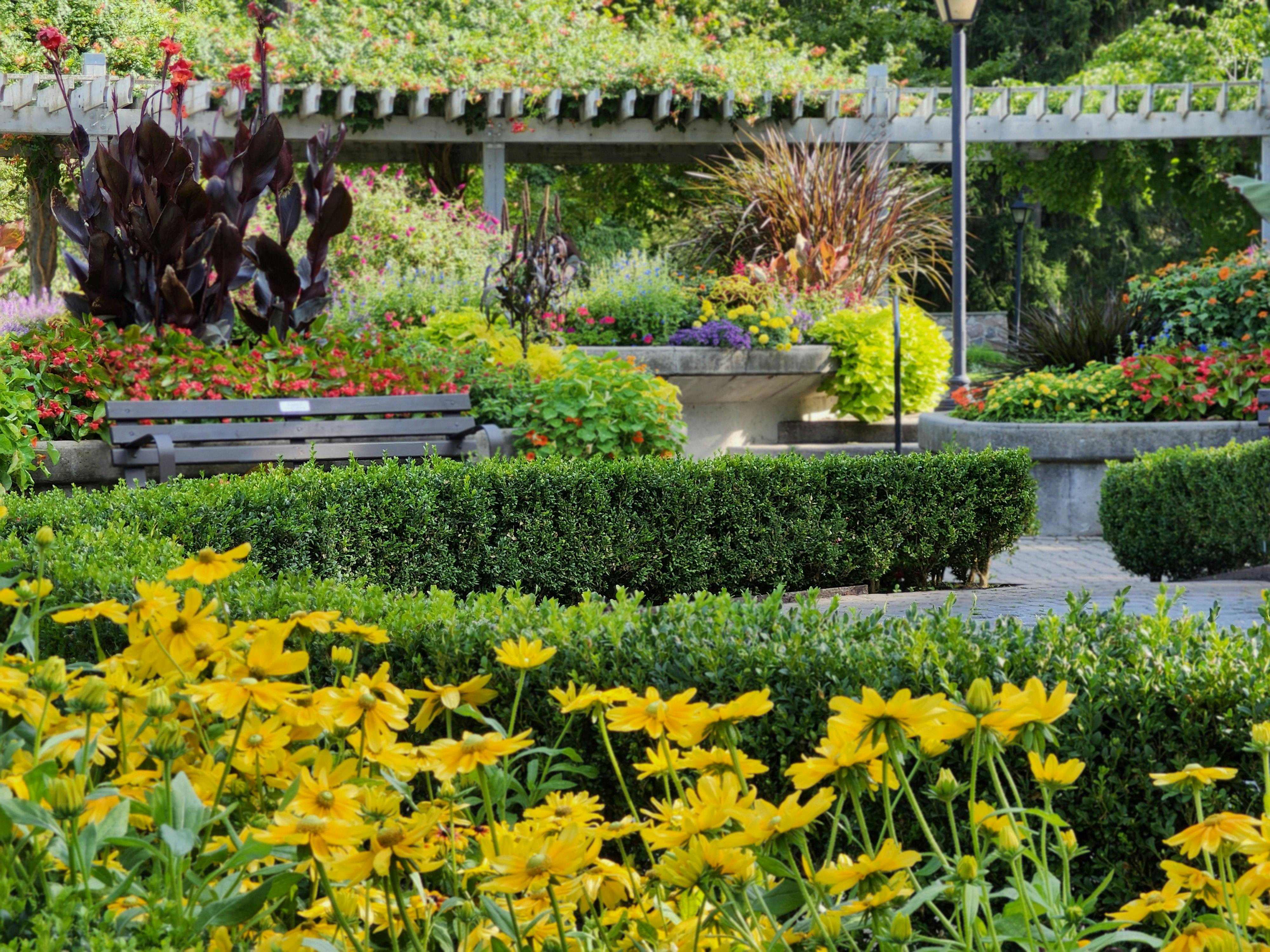 A Landscape Designer’s Favorite Gardening Tools — Photo by alex ohan on Pexels