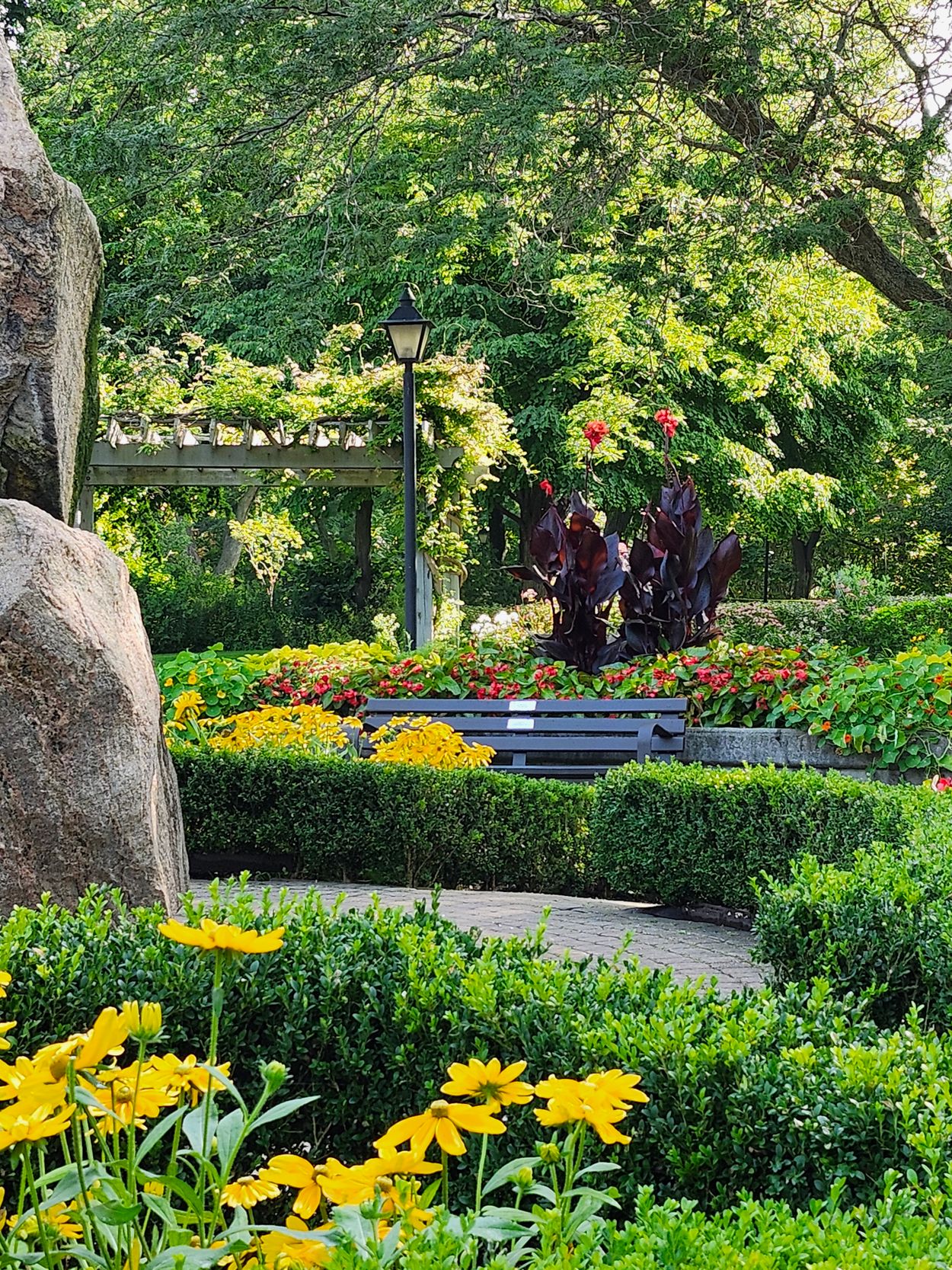 Growing Green — visual inspiration photo