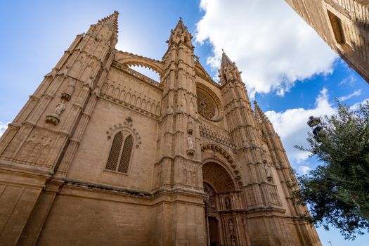 PALMA DE MALLORCA