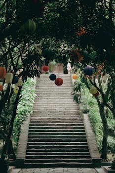 Image by Hạnh Nguyễn