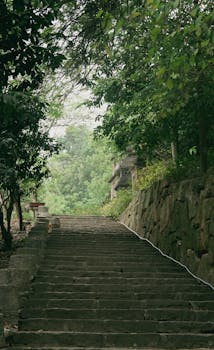 Image by Hạnh Nguyễn