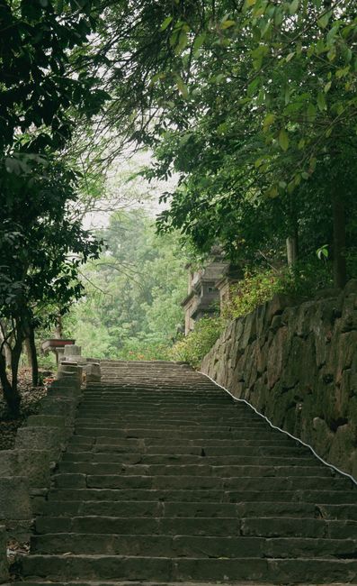 Tranquil stone steps in a lush, green forest setting, exuding a peaceful atmosphere.