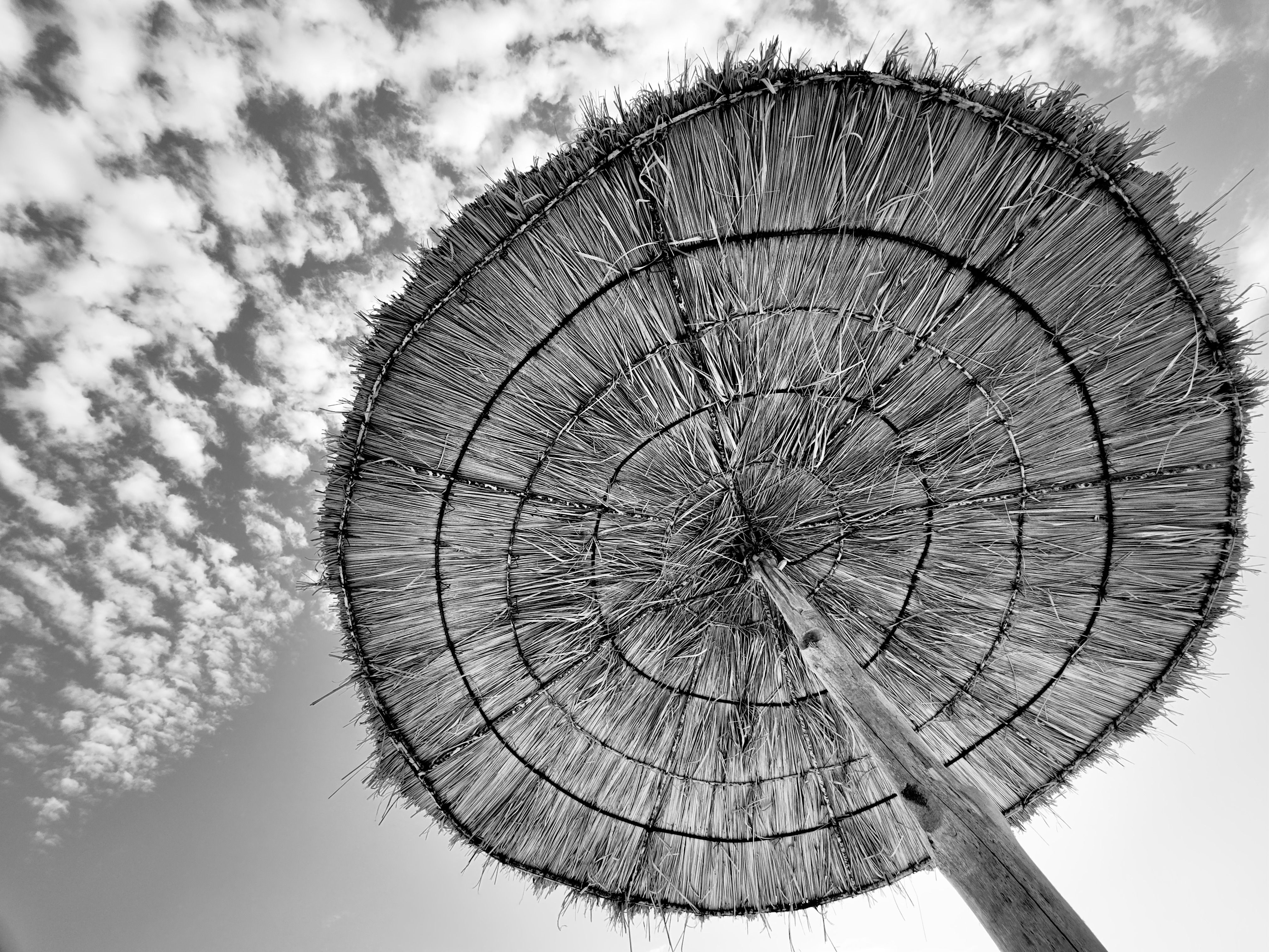 Artistic view of a straw beach umbrella against a summer sky in Tunisia.