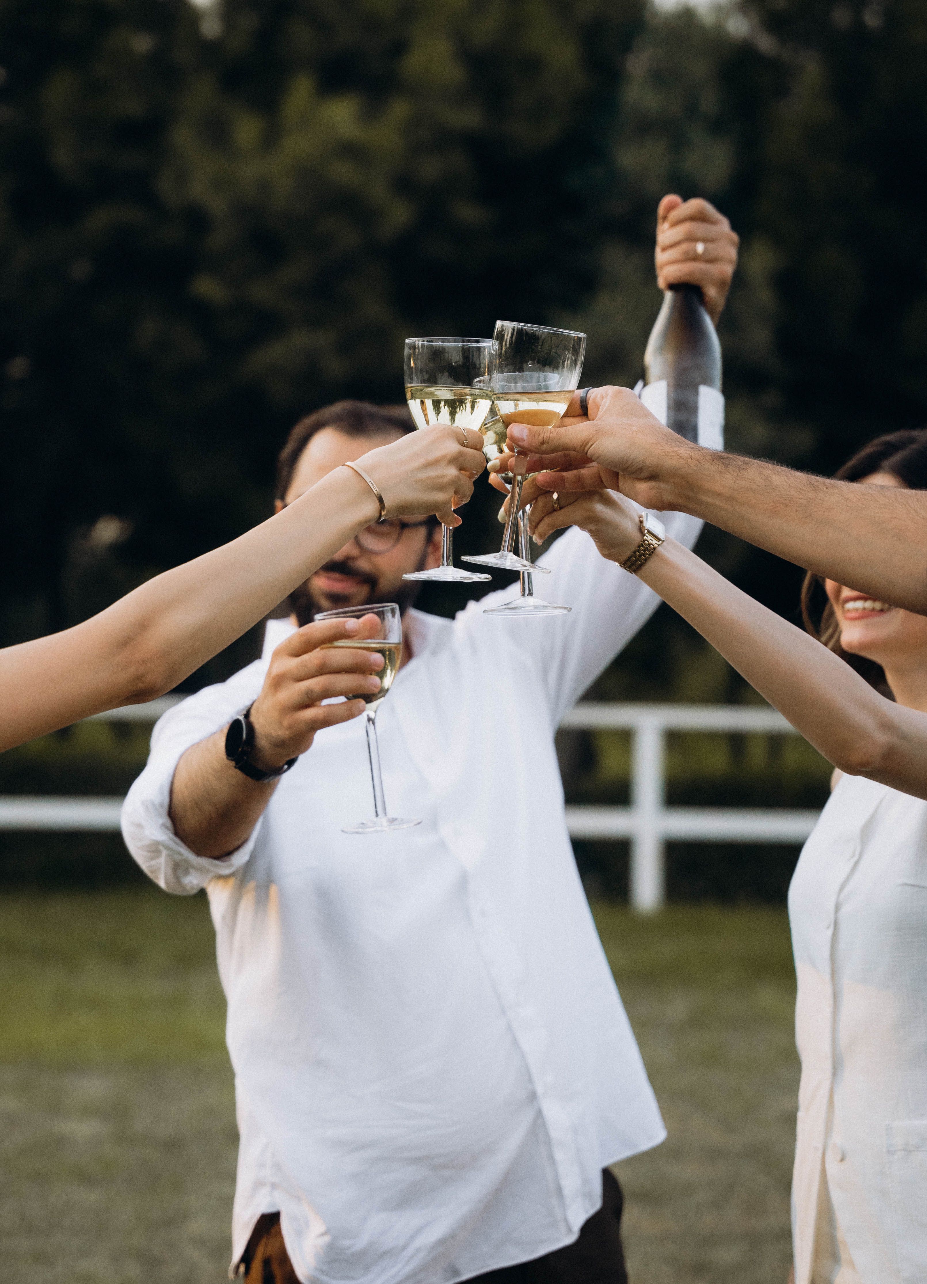 Group of adults enjoying a toast outdoors, celebrating together with wine.