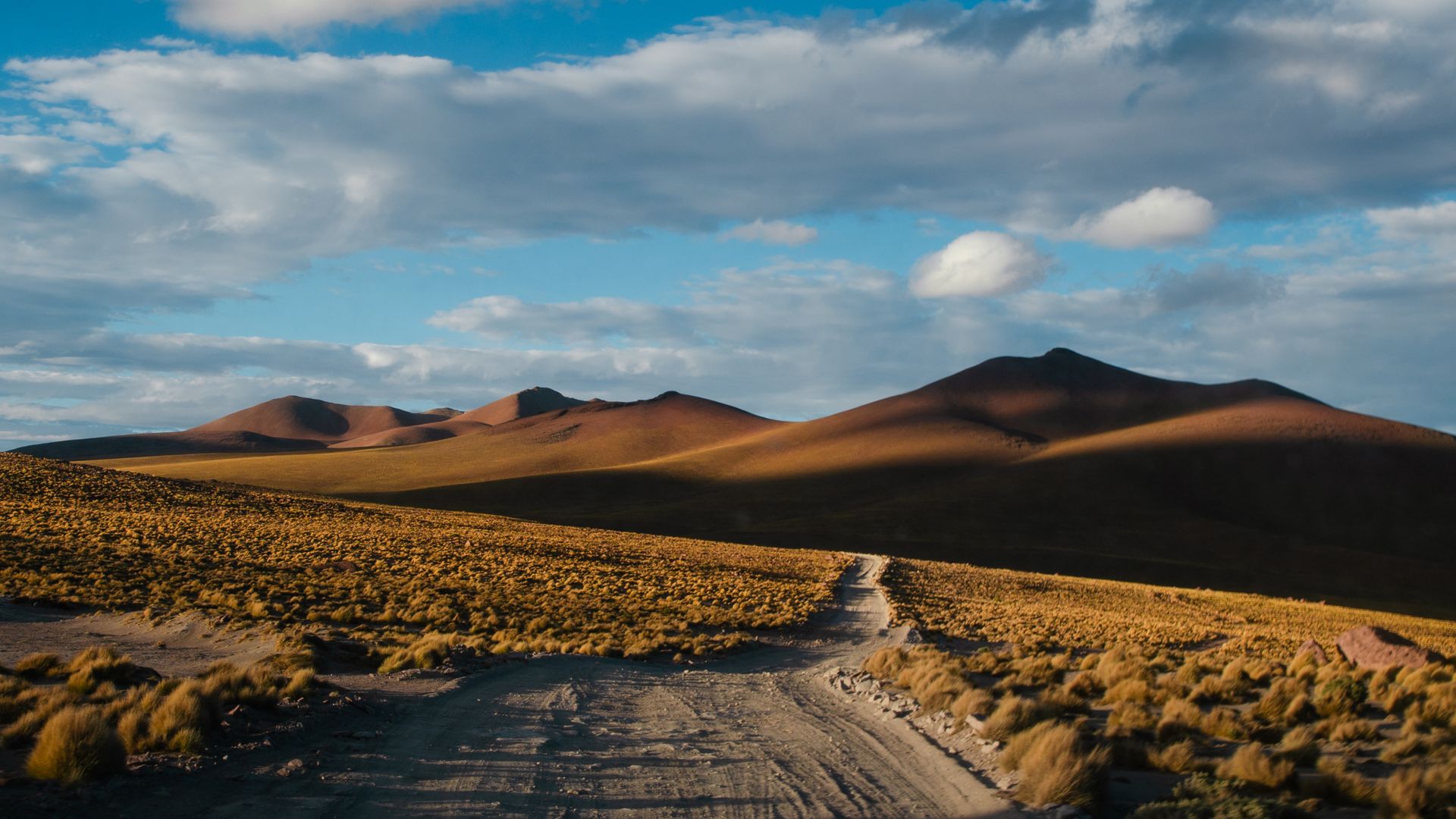 A dirt road running through high, empty Andean country