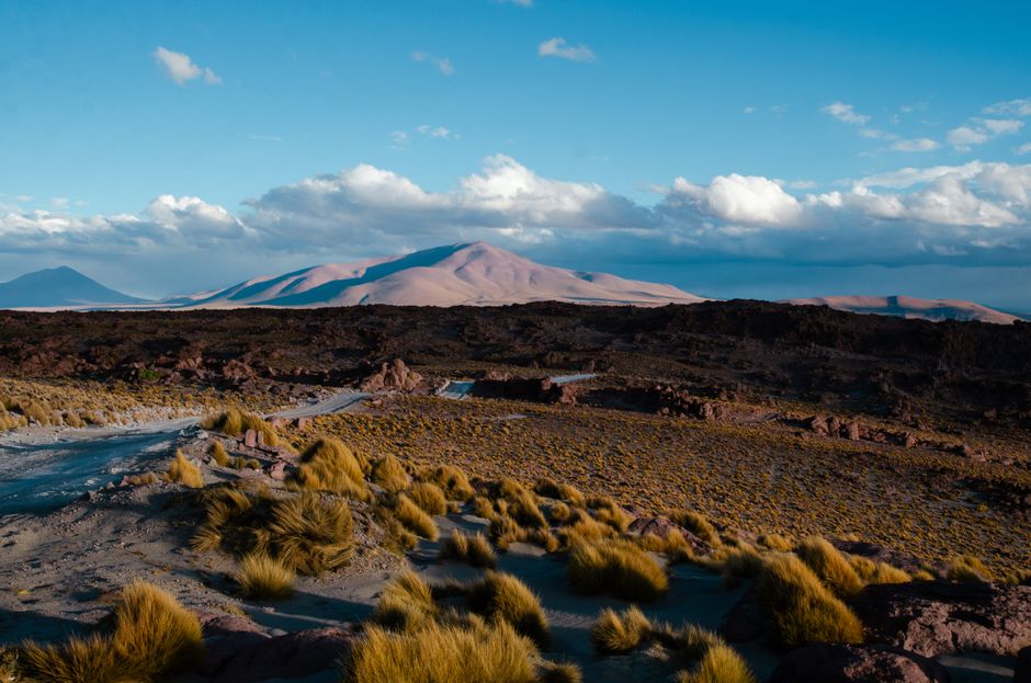 Visa Bolivie en 2026 : toutes les options expliquées