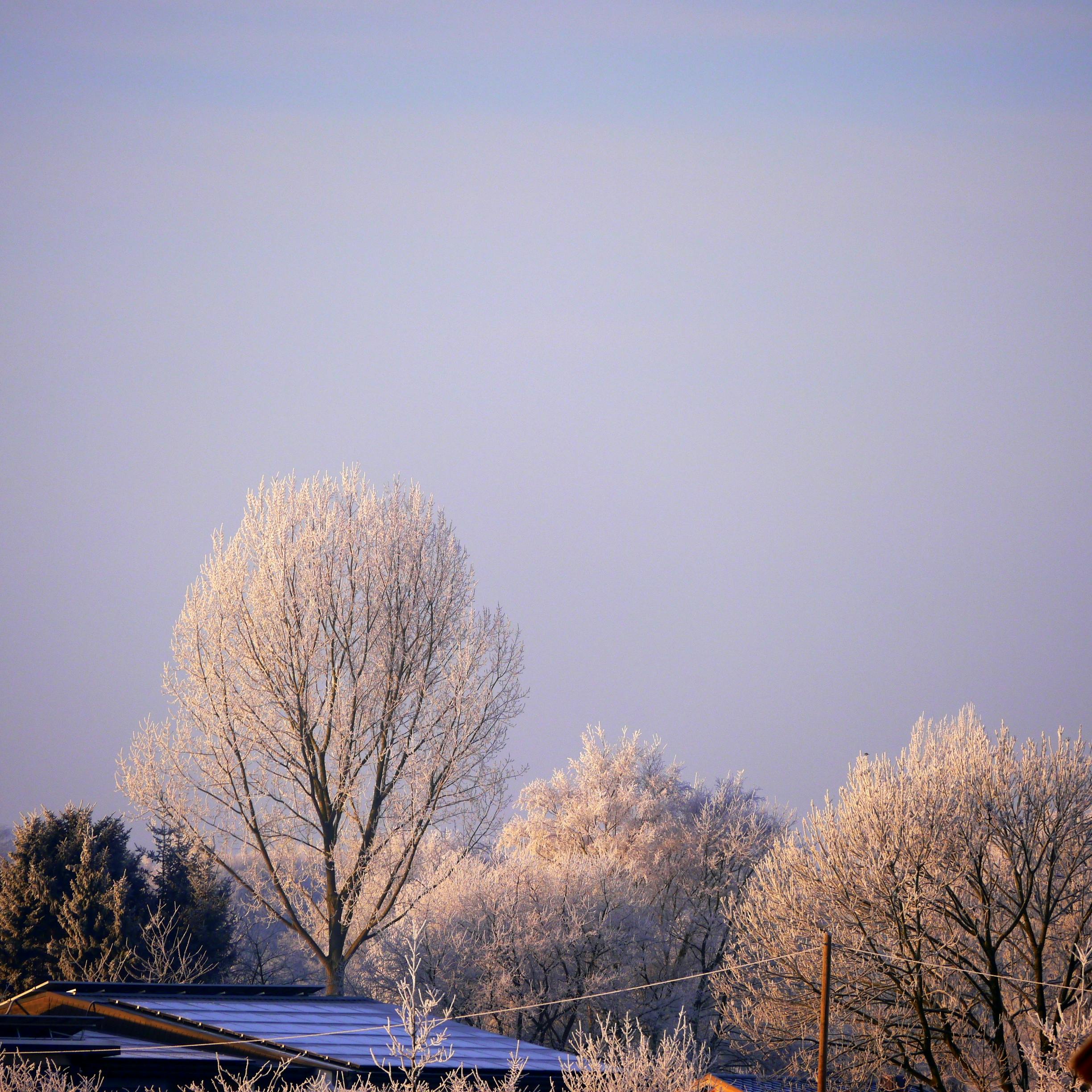 Kostenloses Foto zum Thema drahtseilbahn, nebel, neblig